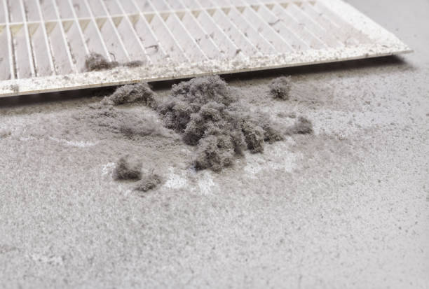 Best Commercial HVAC Duct Cleaning  in Appleton, MN