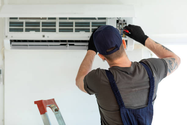 Best Air Duct Sanitizing Services  in Appleton, MN