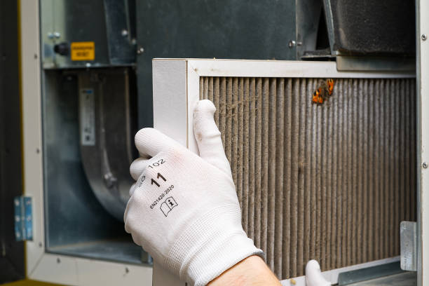 Best Commercial Air Duct Cleaning  in Appleton, MN