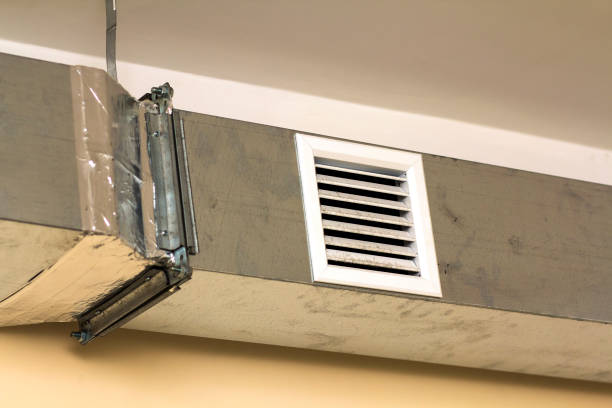 Best HVAC Duct Inspection Services  in Appleton, MN